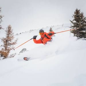 Meet your Posher, Will